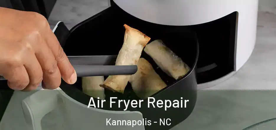  Air Fryer Repair Kannapolis - NC