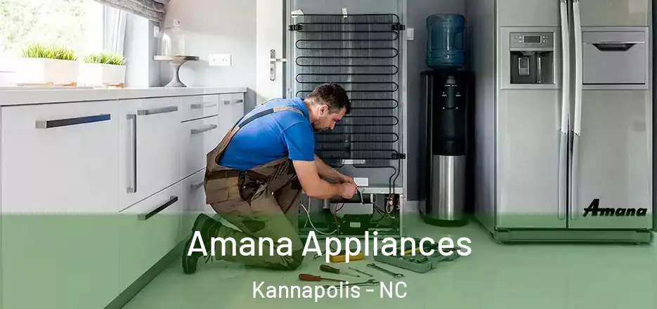 Amana Appliances Kannapolis - NC