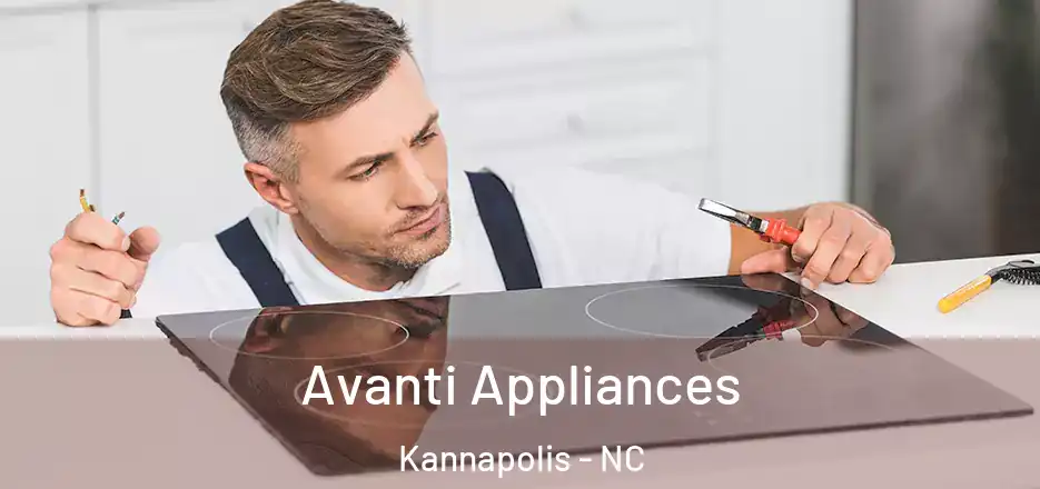  Avanti Appliances Kannapolis - NC