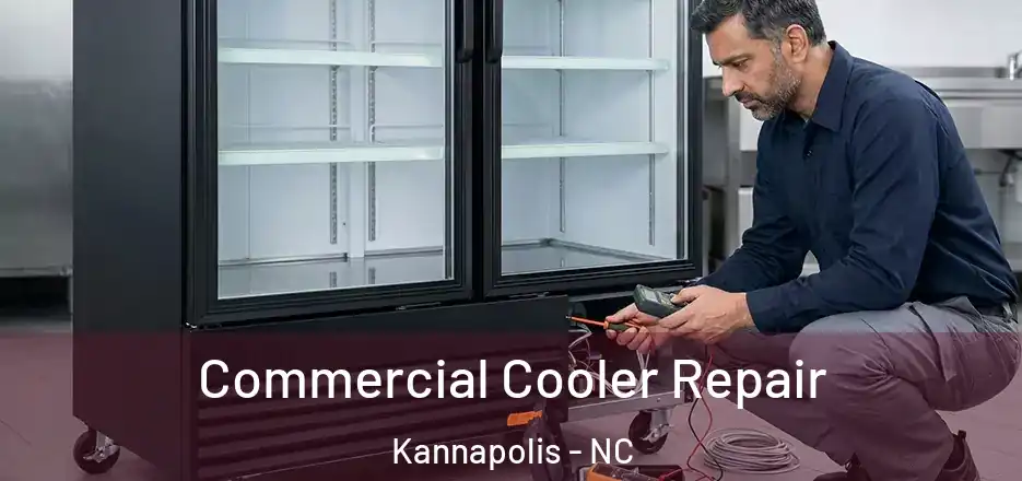  Commercial Cooler Repair Kannapolis - NC