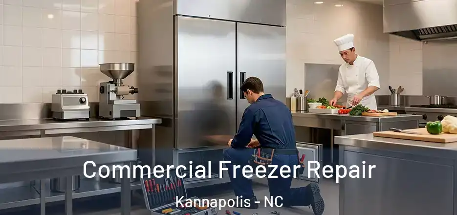 Commercial Freezer Repair Kannapolis - NC