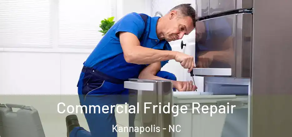  Commercial Fridge Repair Kannapolis - NC