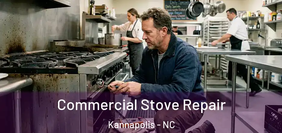  Commercial Stove Repair Kannapolis - NC