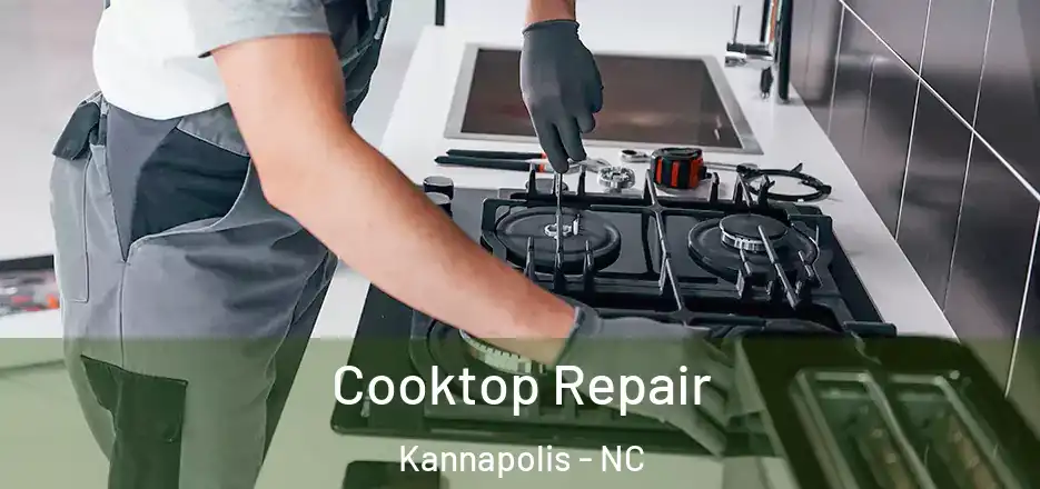  Cooktop Repair Kannapolis - NC