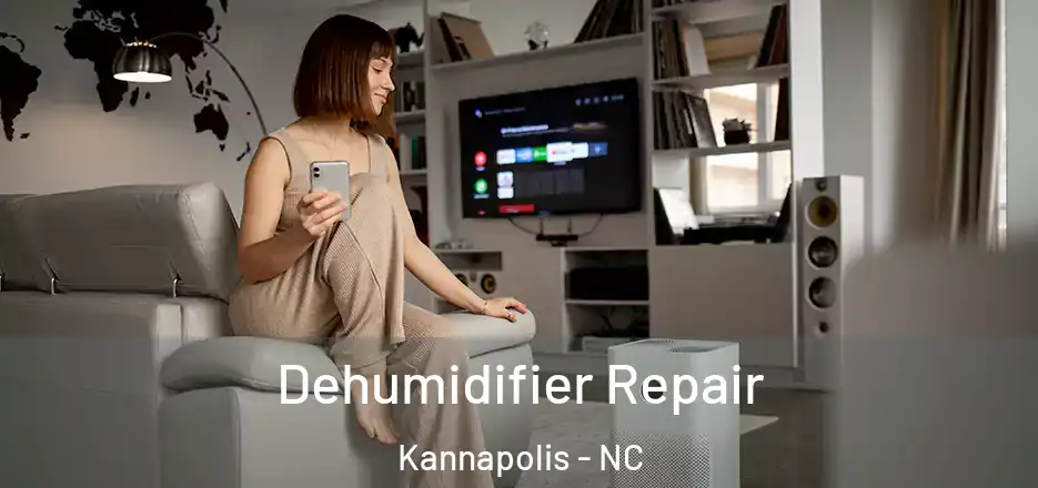  Dehumidifier Repair Kannapolis - NC