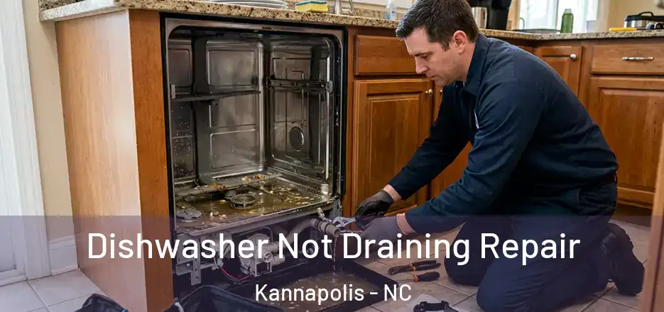  Dishwasher Not Draining Repair Kannapolis - NC
