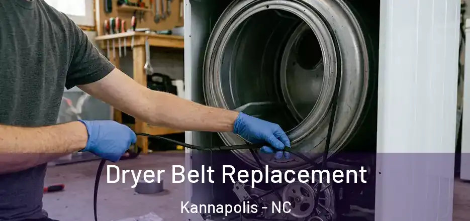  Dryer Belt Replacement Kannapolis - NC