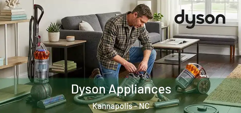  Dyson Appliances Kannapolis - NC