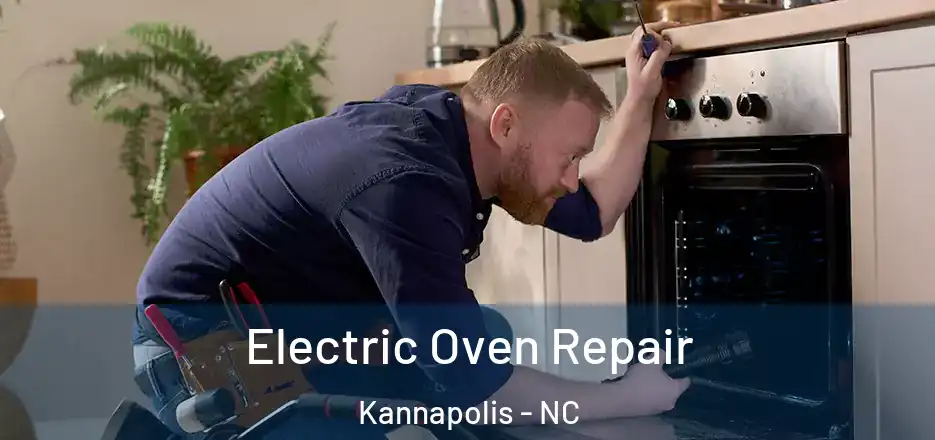  Electric Oven Repair Kannapolis - NC
