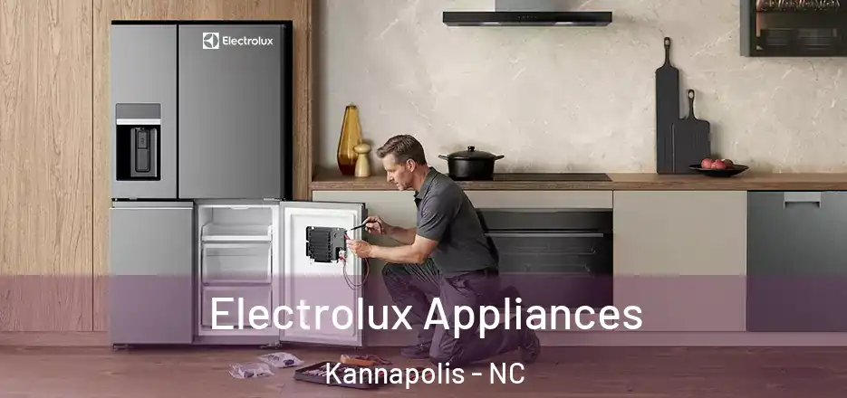  Electrolux Appliances Kannapolis - NC