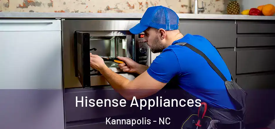 Hisense Appliances Kannapolis - NC