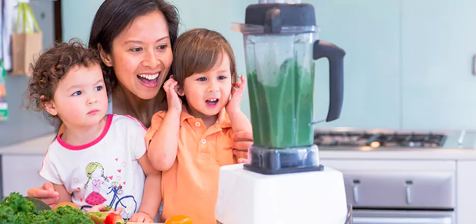 Juicer and Mixer Blender Repair in Kannapolis 