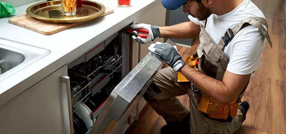 Same Day Dishwasher Not Draining Repair in Kannapolis