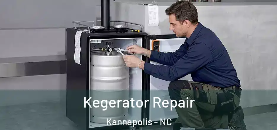  Kegerator Repair Kannapolis - NC