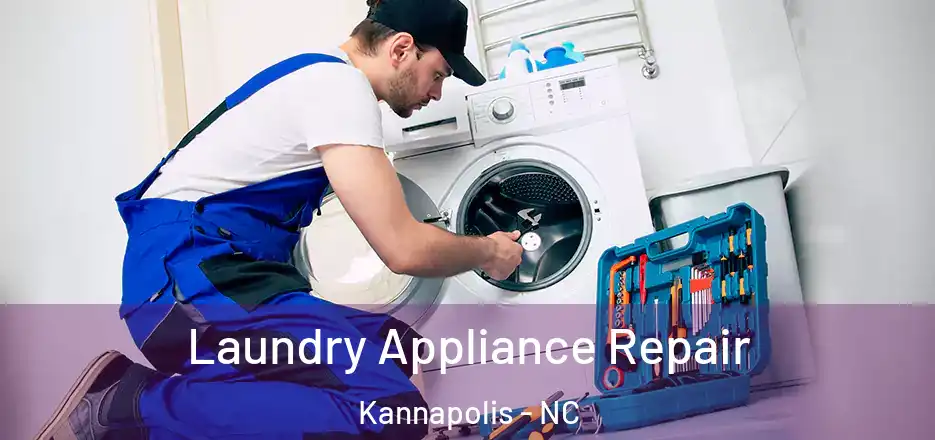  Laundry Appliance Repair Kannapolis - NC