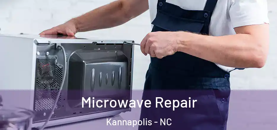  Microwave Repair Kannapolis - NC