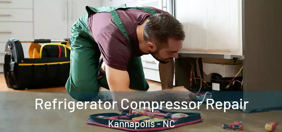  Refrigerator Compressor Repair Kannapolis - NC