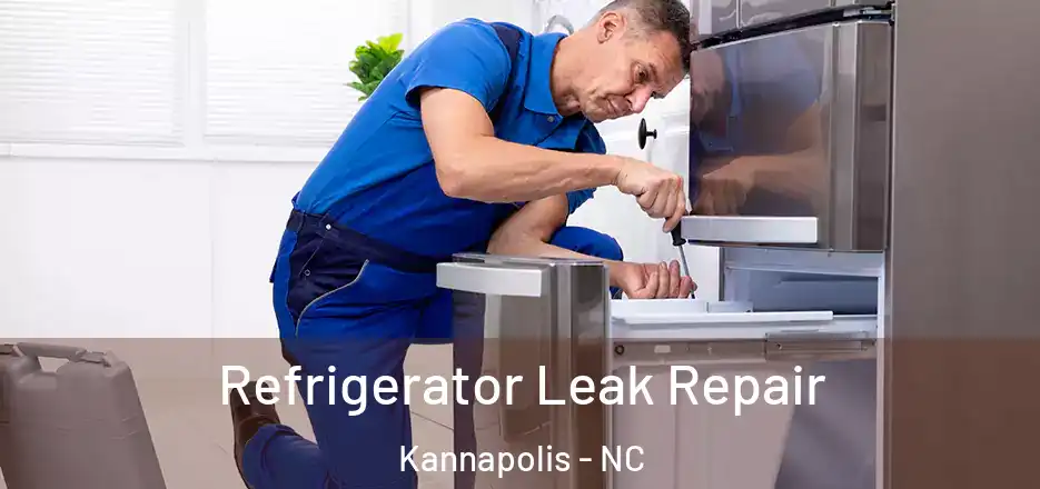  Refrigerator Leak Repair Kannapolis - NC