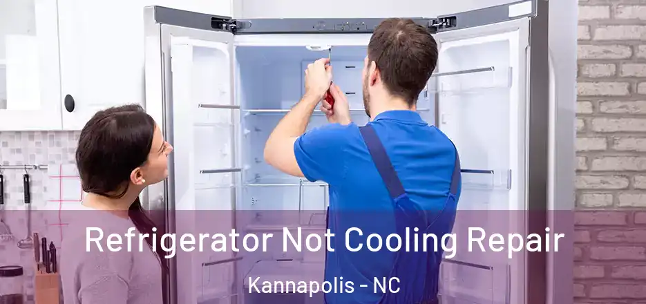  Refrigerator Not Cooling Repair Kannapolis - NC