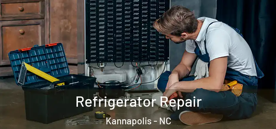  Refrigerator Repair Kannapolis - NC