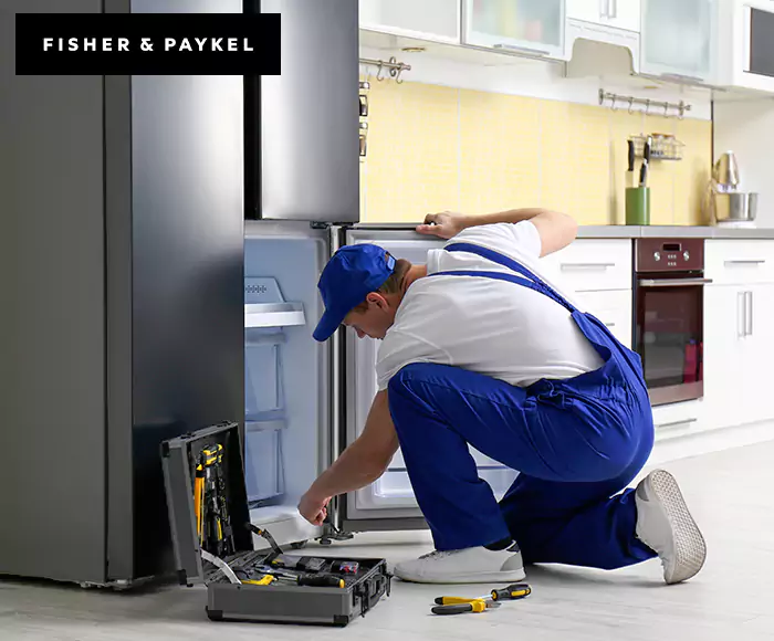 Top-Rated Fisher & Paykel Appliance Experts: Your Brand Specialist in Kannapolis, NC