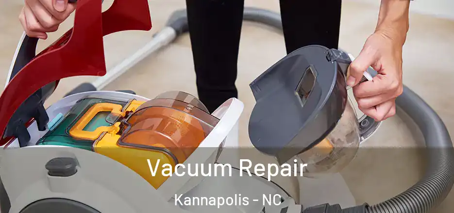  Vacuum Repair Kannapolis - NC