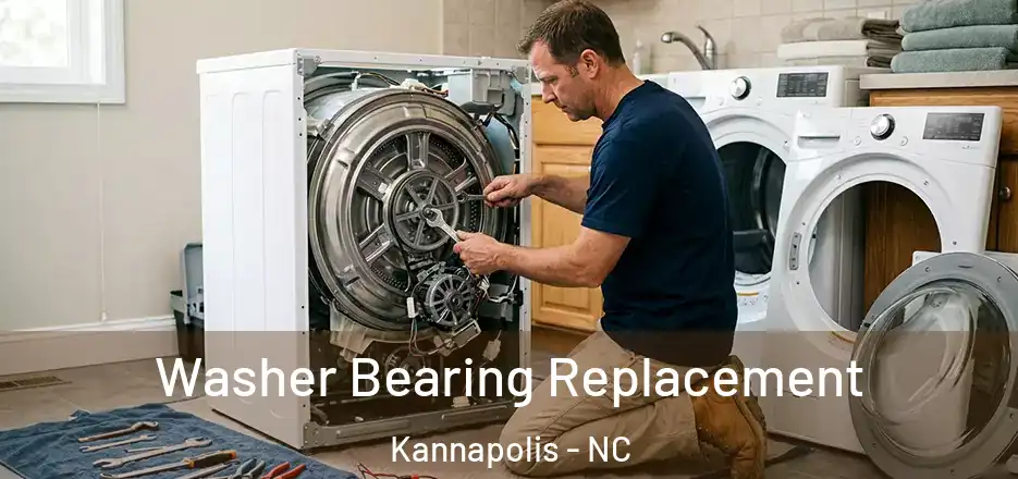  Washer Bearing Replacement Kannapolis - NC