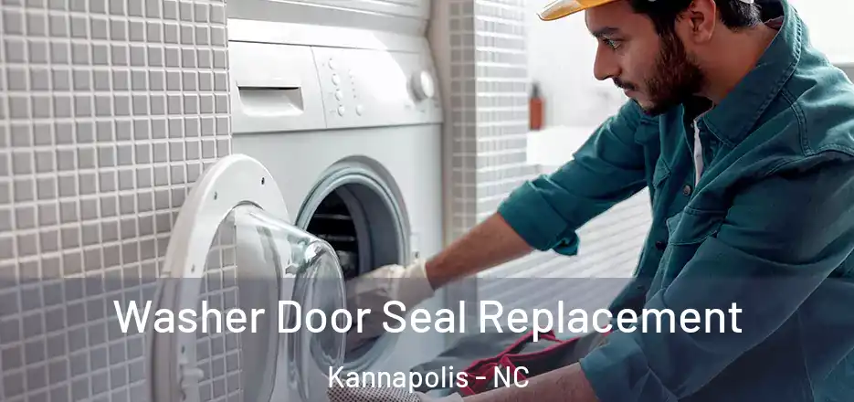  Washer Door Seal Replacement Kannapolis - NC